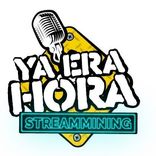 Media Partner