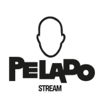 Media Partner
